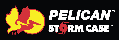 Pelican-Storm-Logo-Resized-2-1.png