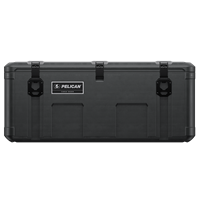 Pelican™ Cargo BX255 Case